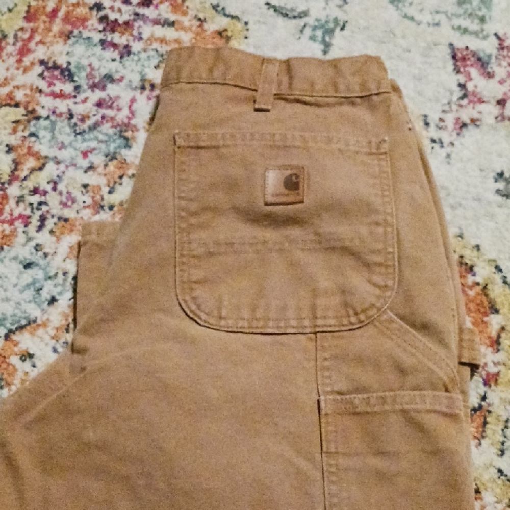 Carhartt Men's Brown Cargo Pants
